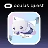 Oculus Quest