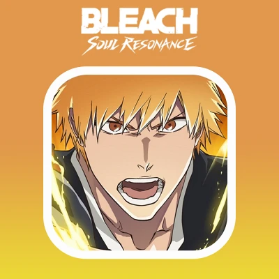 Bleach Soul Resonance