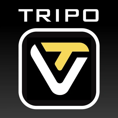 Tripo 3D