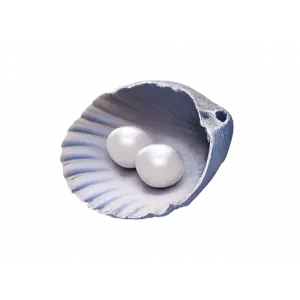 60 Echo Beads ⚪️