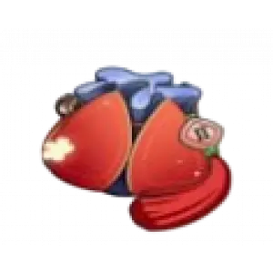 Spring Lucky Bag 2025 B Rerun