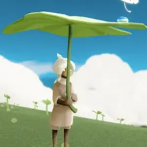 Кувшиночный зонтик цветения 🌸