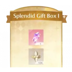Splendid Gift Box I