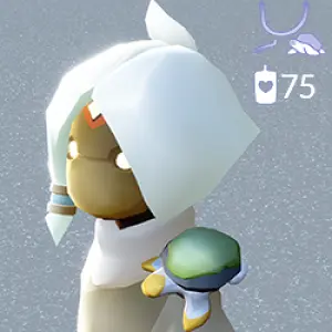 Набор «Черепаха» 🐢