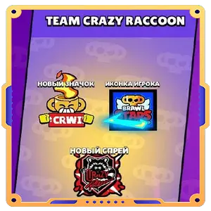 TEAM CRAZY RACCOON