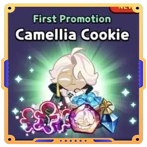 Camellia Cookie (First Promotion)