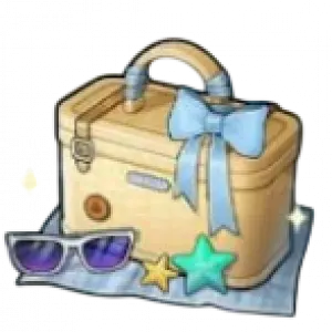 Swimsuit Lucky Bag 2025 A Rerun