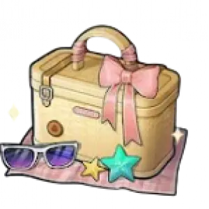 Swimsuit Lucky Bag 2025 B Rerun