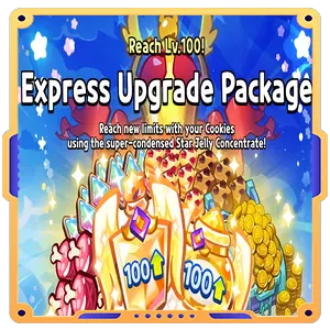 Express Upgrade Package