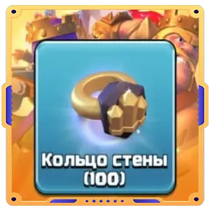 Особая летняя акция