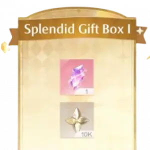 Splendid Gift Box I