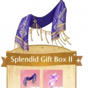 Splendid Gift Box II