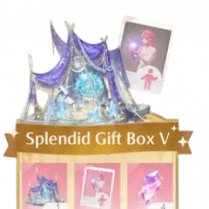 Splendid Gift Box V
