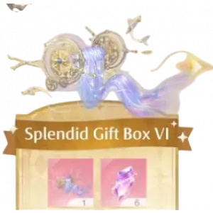 Splendid Gift Box VI