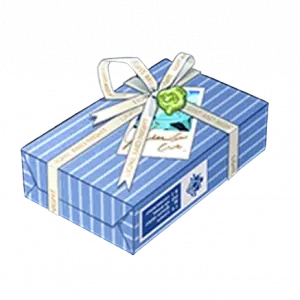 This Week's Dream-Weaving Gift Box