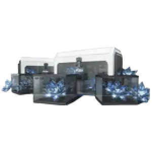 6.000 Shifting Flowers 🌸