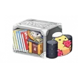 New Commander Support II