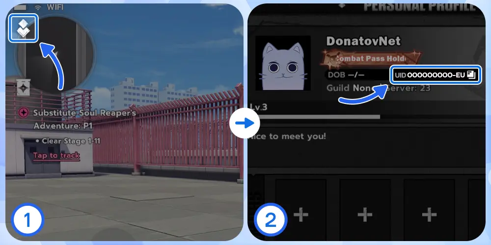 Где найти UID Bleach Soul Resonance