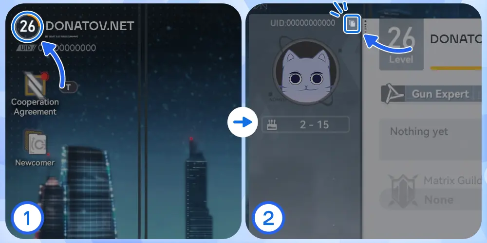Как купить цветы и донат для Aether Gazer в России и СНГ